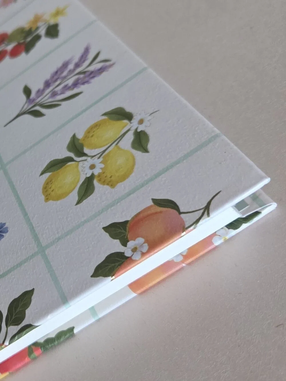 Clementine Harvest Grid Large Spiral Hardcover Ruled Notebook